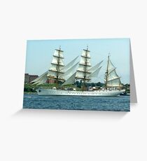 Beautiful Lady Greeting Card