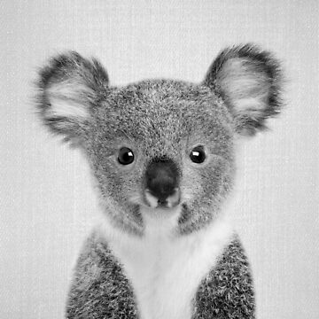 Baby Koala - Black & White Photographic Print for Sale by galdesign