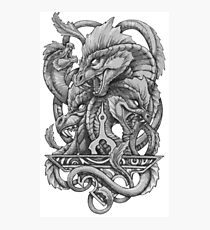 Hydra design Photographic Print