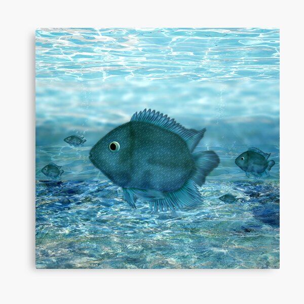 Blue fish... Canvas Print