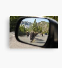 Objects in Mirror... Canvas Print