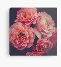 Roses in the night garden Metal Print