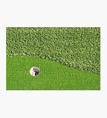 On the Green Photographic Print