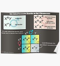 Sex-Linked Rezessive Störung auf dem X-Chromosom Poster