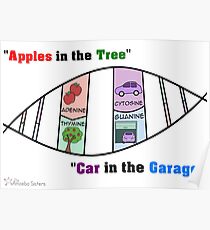 DNA Mnemonic Poster