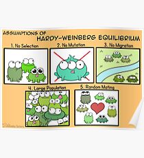Assumptions of Hardy-Weinberg Equilibrium Poster