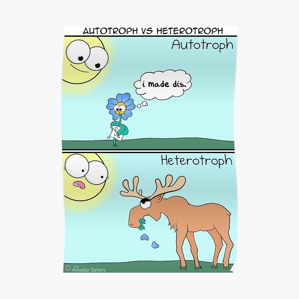 "Autotroph vs Heterotroph" Poster by amoebasisters Redbubble