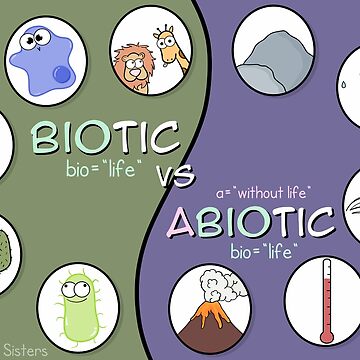 Artwork thumbnail, Biotic vs Abiotic Poster by amoebasisters