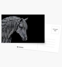 Portrait Of A Horse Fine Art Print Postcards