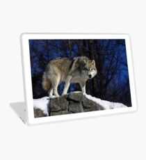 Arctic Wolf on Rock Cliff Laptop Skin