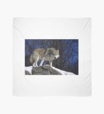 Arctic Wolf on Rock Cliff Scarf