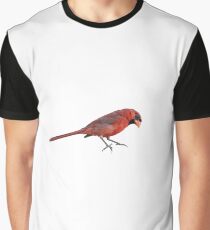Redbird Graphic T-Shirt