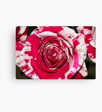 Look At Me :) :) Canvas Print