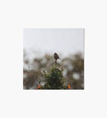 Bird Watch Art Board