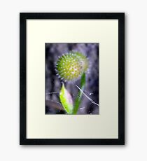 close up Framed Print