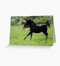 The Race Greeting Card