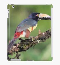 Tucan sitting on Tree Illustration iPad Case/Skin