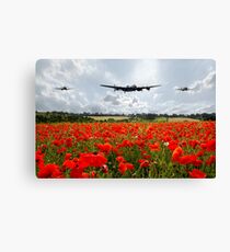 Poppy Flypast Canvas Print
