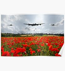 Poppy Flypast Poster