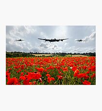 Poppy Flypast Photographic Print