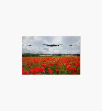 Poppy Flypast Art Board