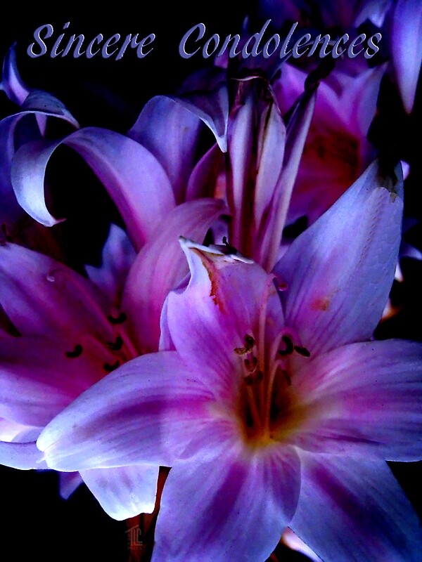 "Sincere Condolences" by TLCGraphics | Redbubble