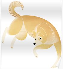 Year of the Dog - Canaan Dog Poster