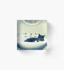 Cat in the Sink Acrylic Block
