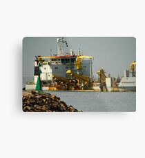 De Bougainville - Newcastle Harbour NSW Metal Print