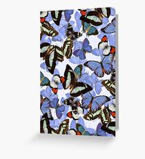 Composition With Echoed Butterflies #7 Greeting Card