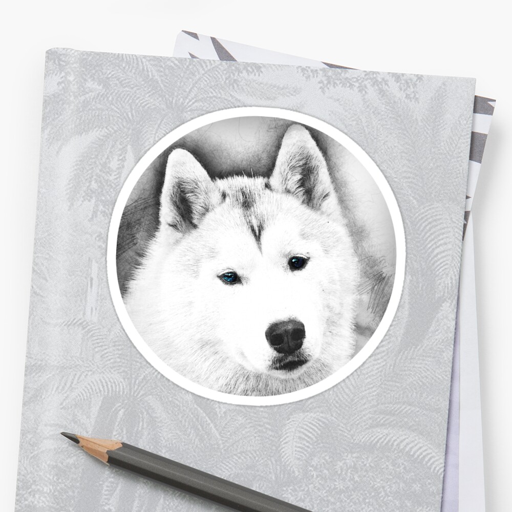 White Husky With Blue Eyes Digital Pencil Sketch Sticker By Petsillustrated