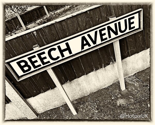 Beech Avenue, Thelwall, Warrington, Cheshire, WA4 2HU