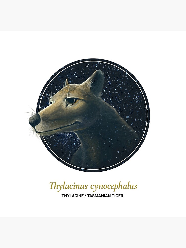 The Circles of Life: Thylacine / Tasmanian Tiger by franzanth