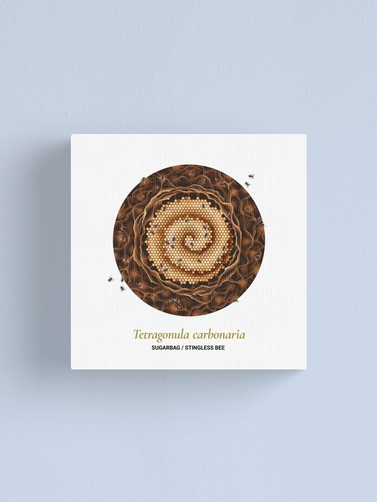 Alternate view of The Circles of Life: Sugarbag / Stingless Bee Canvas Print