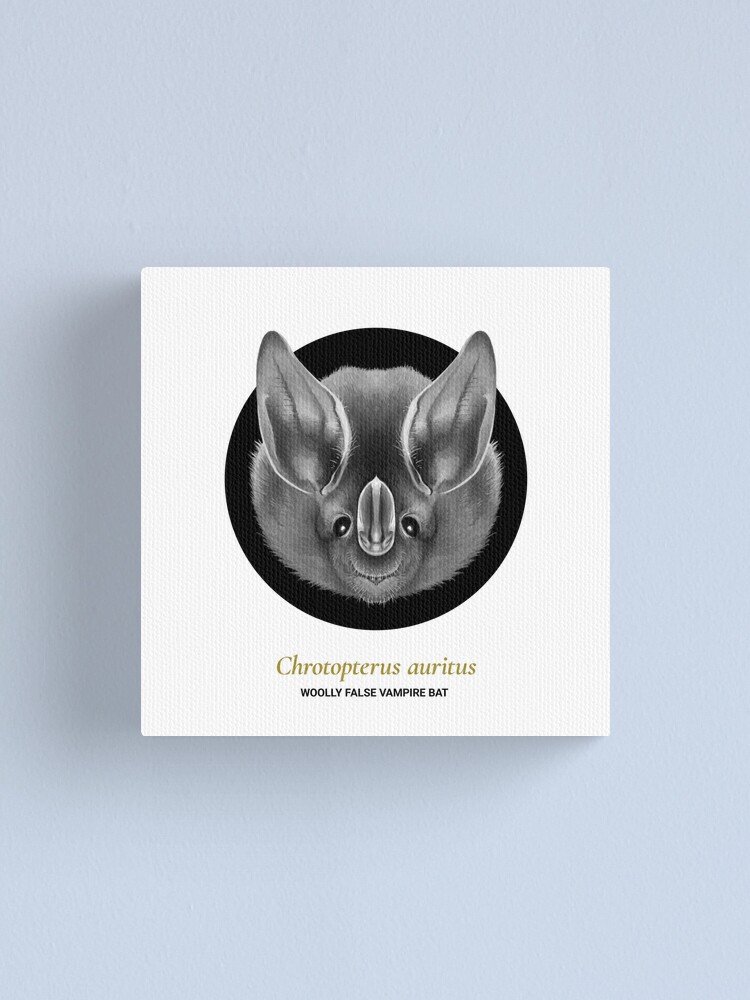 Alternate view of The Circles of Life: Wooly False Vampire Bat Canvas Print