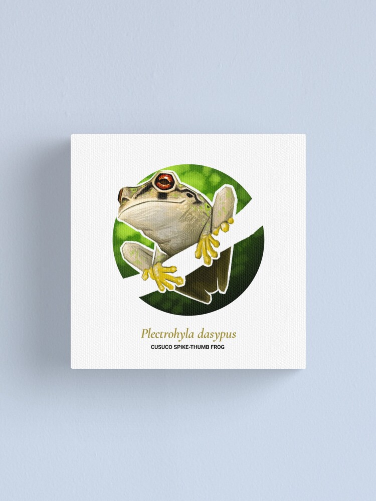 Alternate view of The Circles of Life: Cusuco Spike-thumb Frog Canvas Print