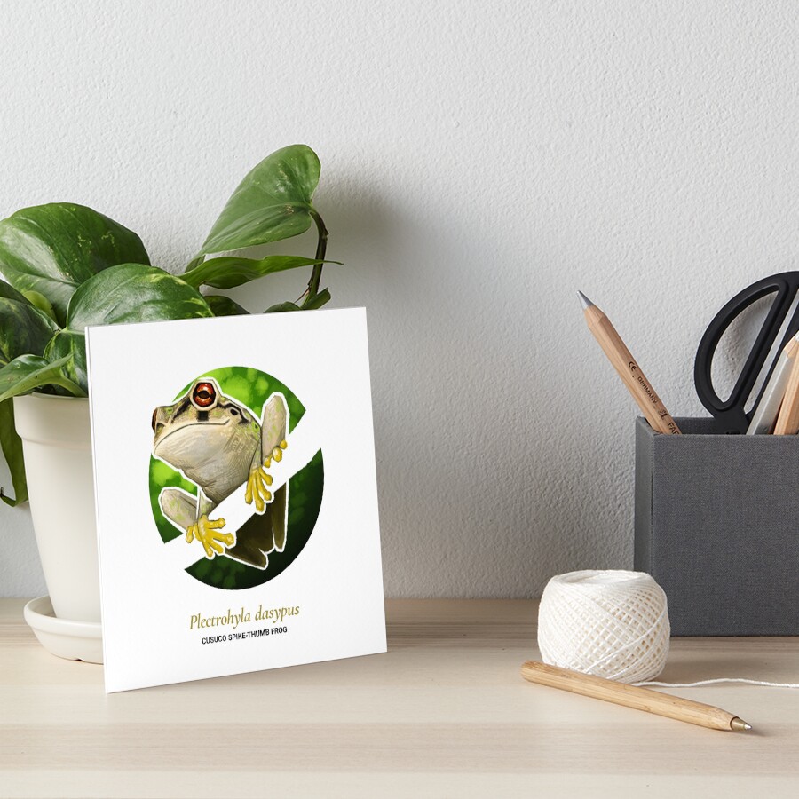 The Circles of Life: Cusuco Spike-thumb Frog Art Board Print