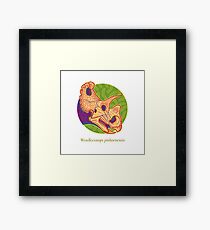 The Circles of Life: Wendiceratops pinhornensis Framed Print