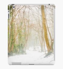 Snow on the Head iPad Case/Skin