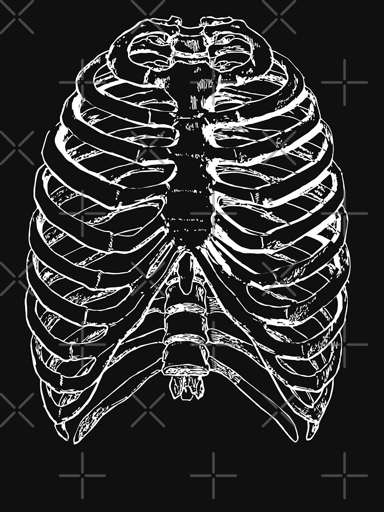 Skeleton Rib Cage by GhostlyWorld