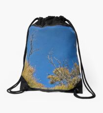 Blue 2 Drawstring Bag