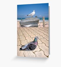 Seagull and Pigeon Greeting Card
