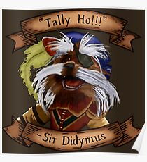 Sir Didymus Poster