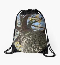 Fall 2011, Huge Drawstring Bag