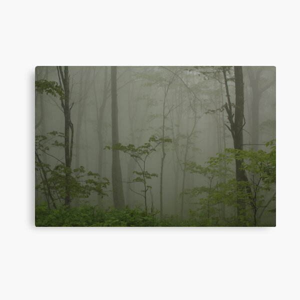 "...Through the Veil of Mist." Canvas Print