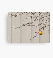 Pear X2 Canvas Print