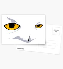 Snowy Owl Postcards