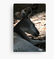 Portrait of a Roo Canvas Print