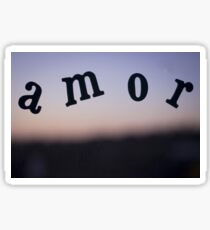 Amor Love palabra foto para el dia de San Valentin Sticker