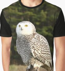 In Awe Graphic T-Shirt